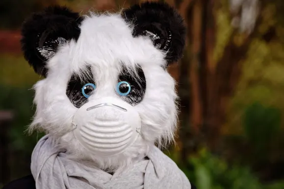 SilverPlay Kazino Atbalsts